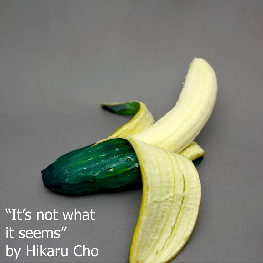 ts-not-what-it-seems-by-artist-Hikaru-Cho-2