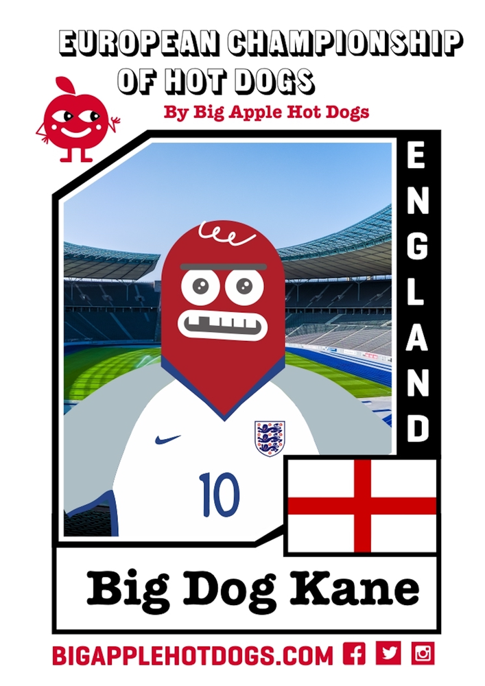 Big-Dog-Harry-Kane-England